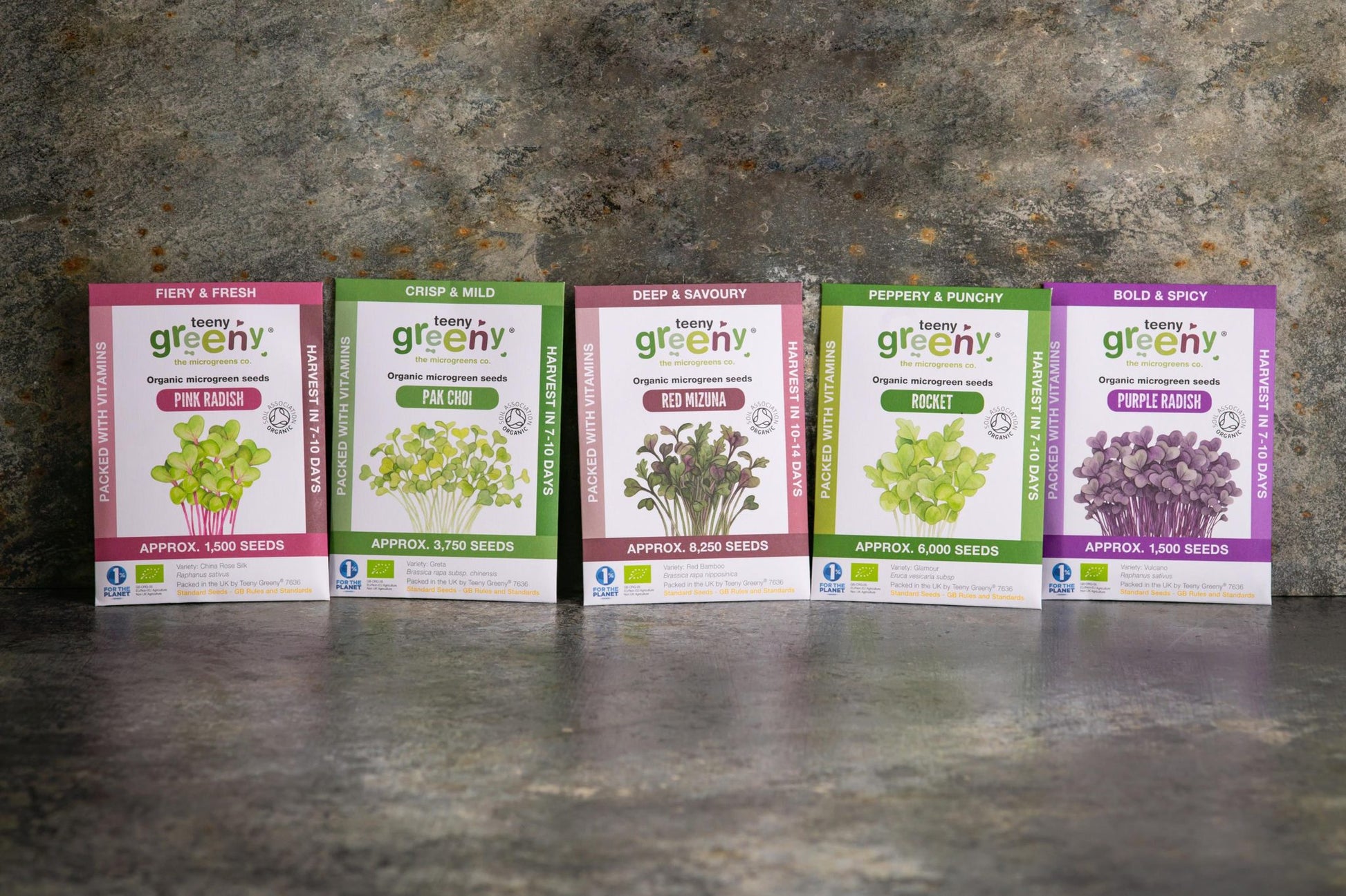 Teeny Greeny big flavour set of five organic microgreen seed packets standing upright on slate background
