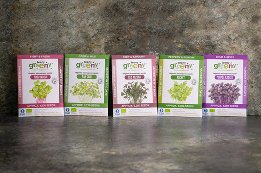 Teeny Greeny big flavour set of five organic microgreen seed packets standing upright on slate background
