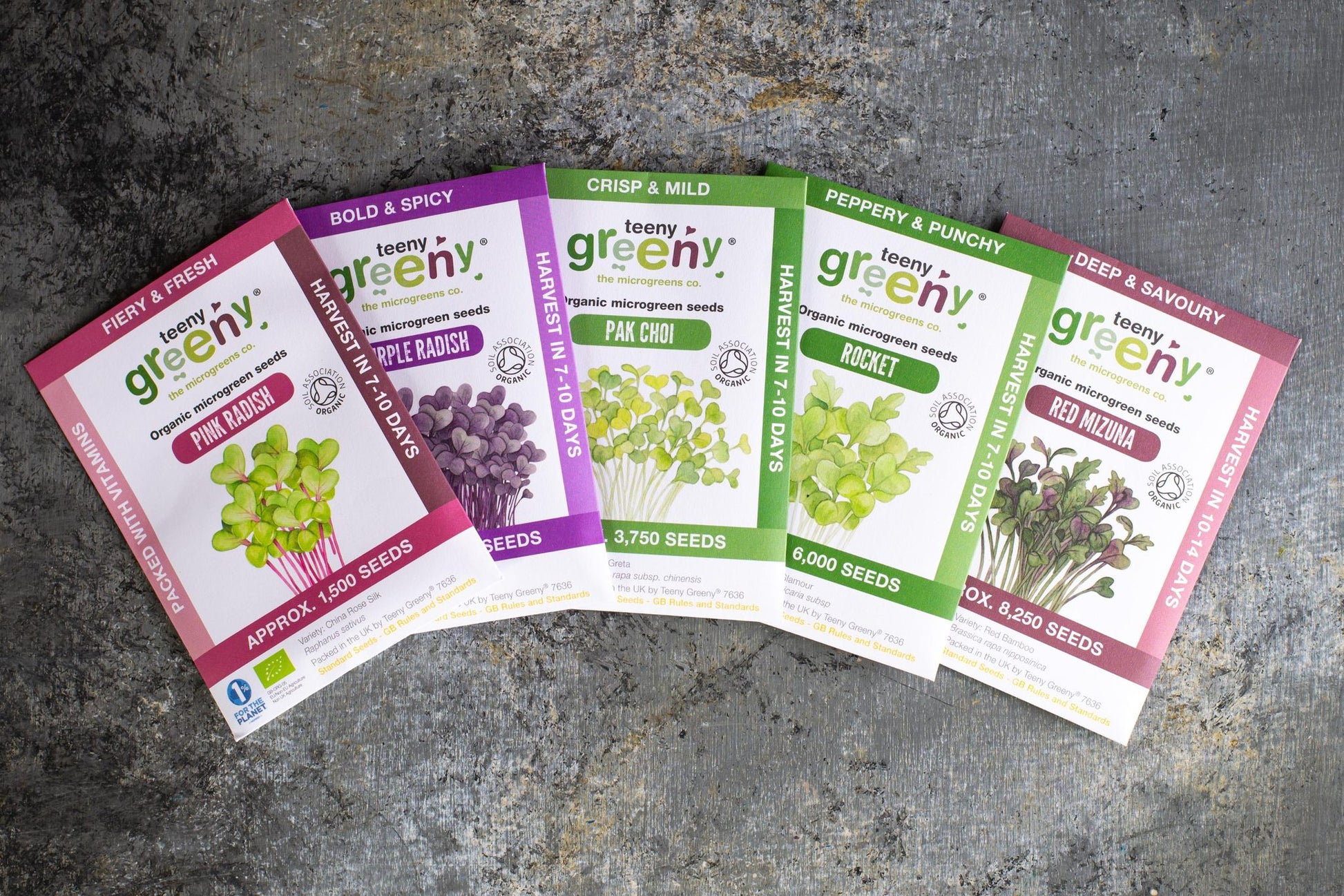 Teeny Greeny big flavour set of five organic microgreen seed packets fanned out on stone surface
