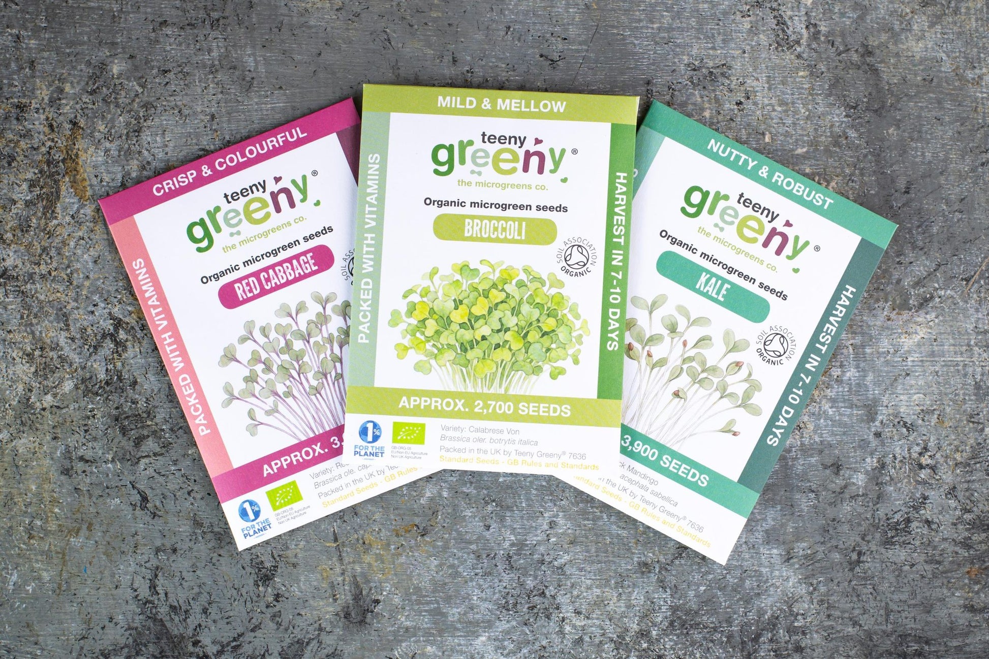 Teeny Greeny organic Brassica Set microgreen seed packets fanned out showing Broccoli Kale and Red Cabbage on slate background