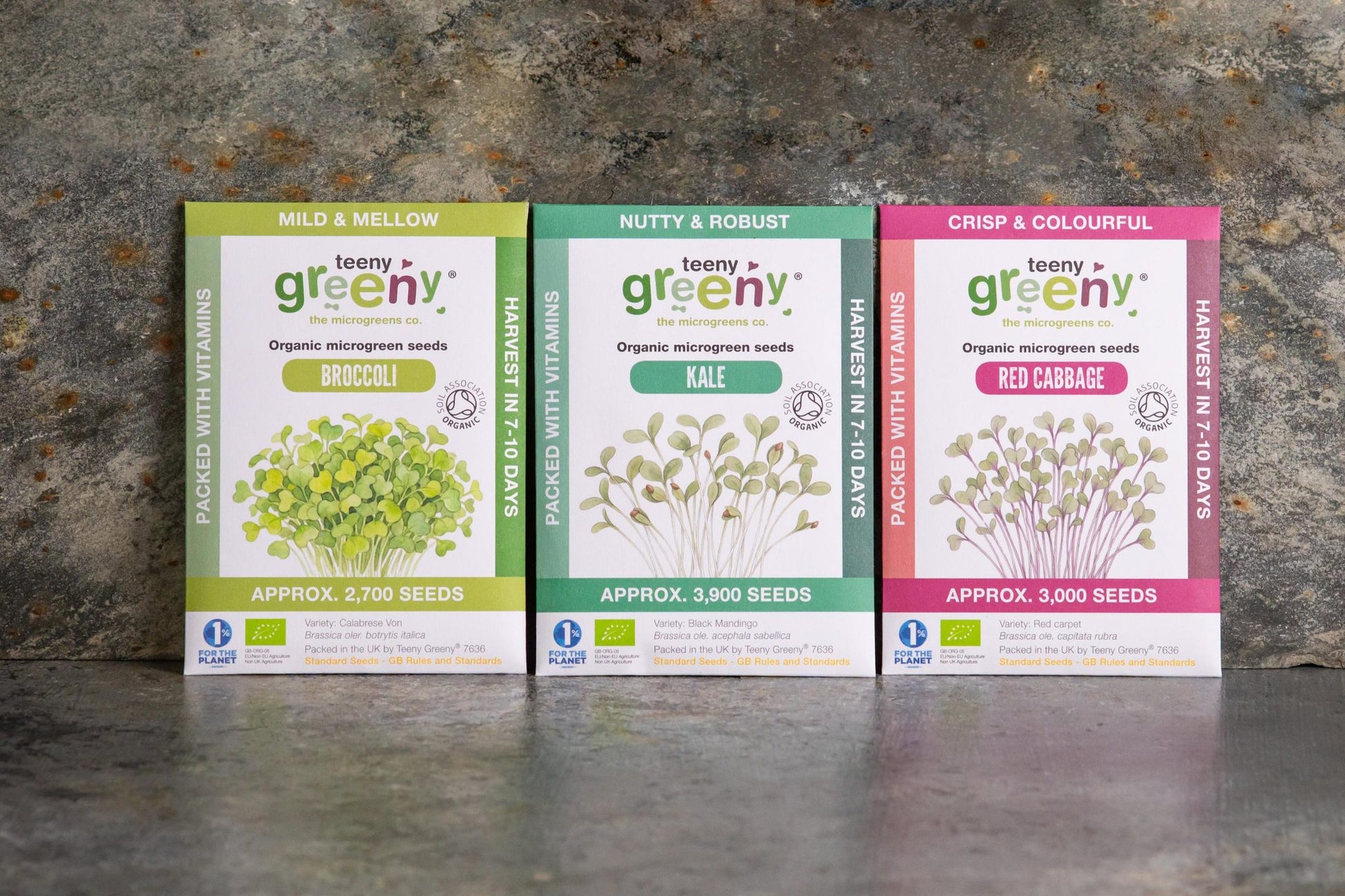 Teeny Greeny organic Brassica Set microgreen seed packets standing upright showing Broccoli Kale and Red Cabbage on slate background
