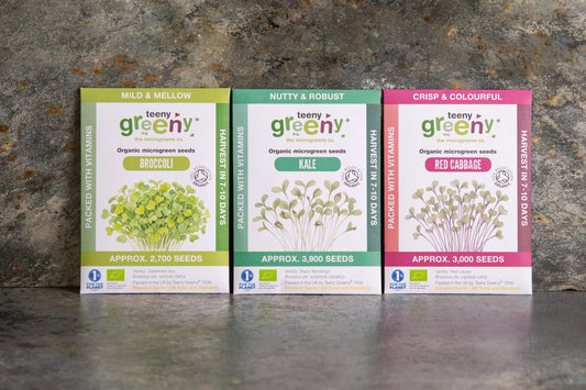 Teeny Greeny organic Brassica Set microgreen seed packets standing upright showing Broccoli Kale and Red Cabbage on slate background