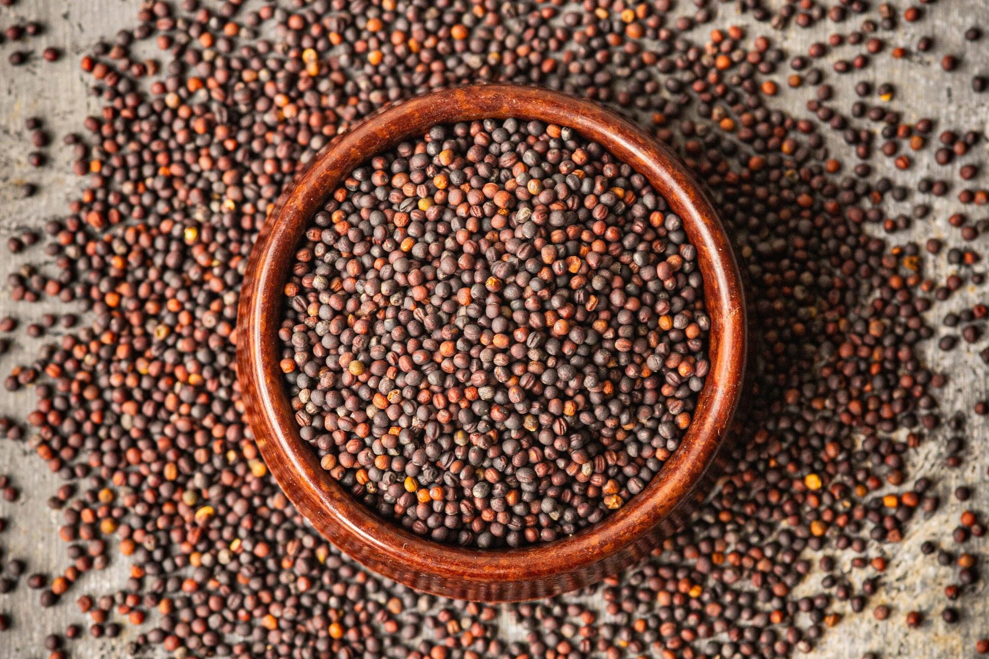 Teeny Greeny organic broccoli microgreen seeds close up in wooden bowl on stone surface