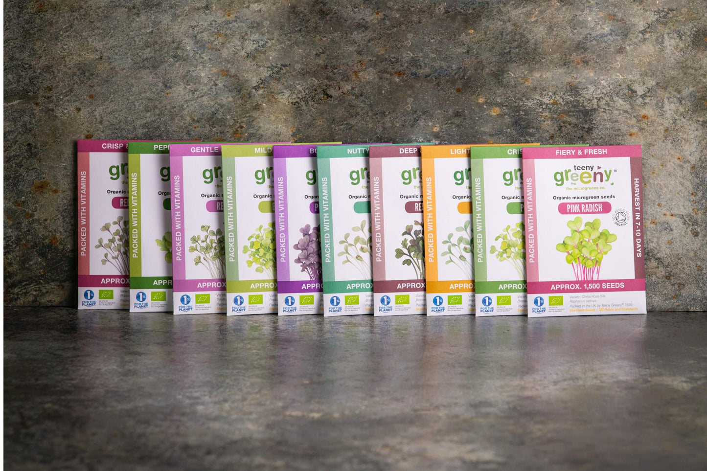 Teeny Greeny complete set of organic microgreen seed packets standing upright on slate background

