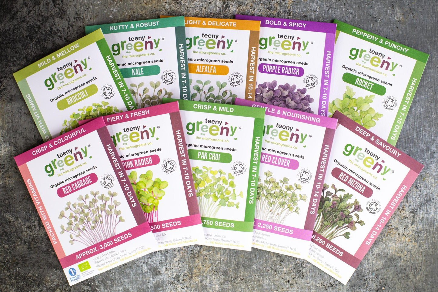 Teeny Greeny complete set of organic microgreen seed packets fanned out on stone surface
