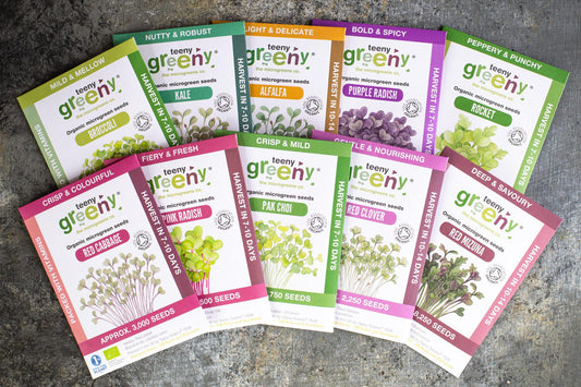 Teeny Greeny complete set of organic microgreen seed packets fanned out on stone surface
