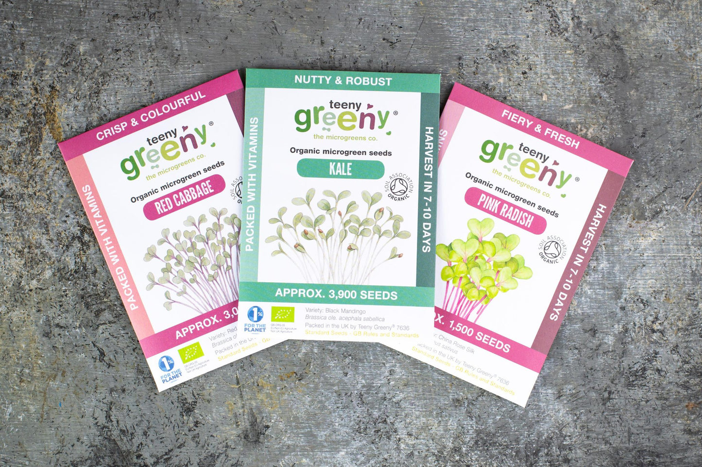 Teeny Greeny organic Energise Set microgreen seed packets fanned out showing Kale Red Cabbage and Pink Radish on slate background