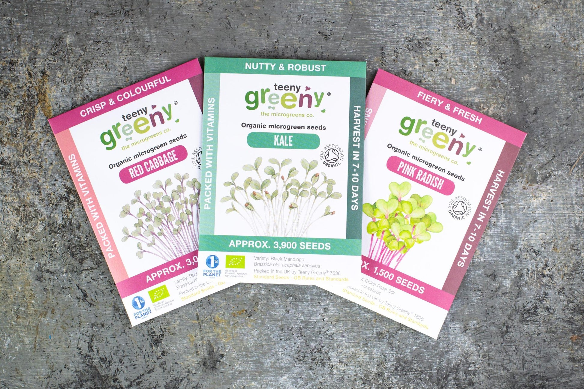 Teeny Greeny organic Energise Set microgreen seed packets fanned out showing Kale Red Cabbage and Pink Radish on slate background