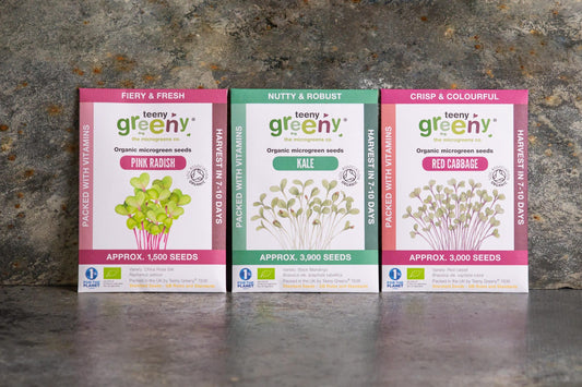 Teeny Greeny organic Energise Set microgreen seed packets standing upright showing Pink Radish Kale and Red Cabbage on slate background