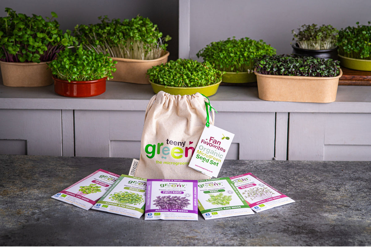 Fan Favourites Organic Microgreens | 5 Seed Set | Gift Edition