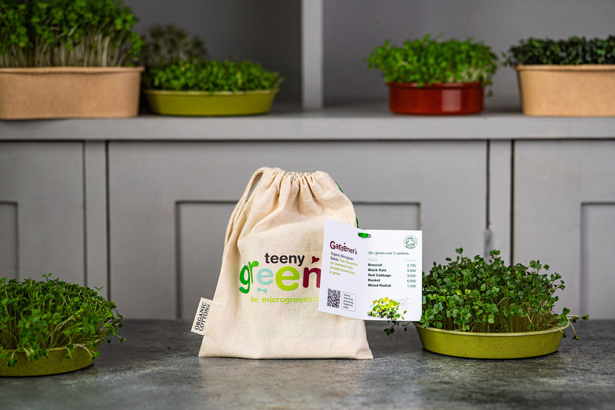 Gardener’s Organic Microgreens | 5 Seed Set | Gift Edition