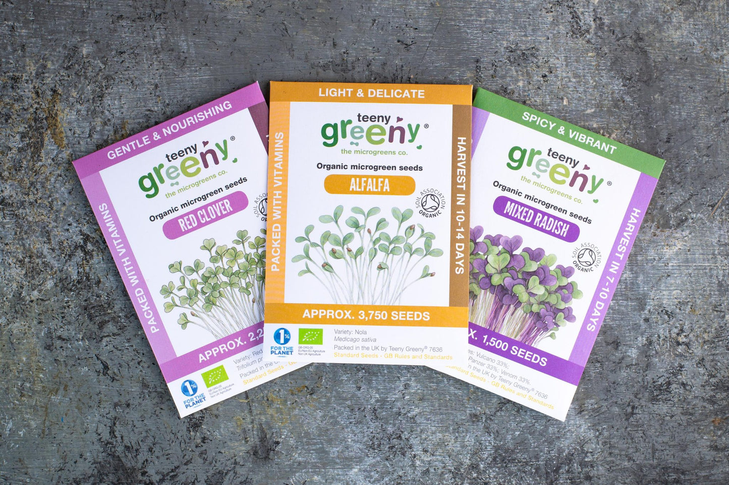 Teeny Greeny organic Harmony Set microgreen seed packets fanned out showing Red Clover Alfalfa and Mixed Radish on slate background