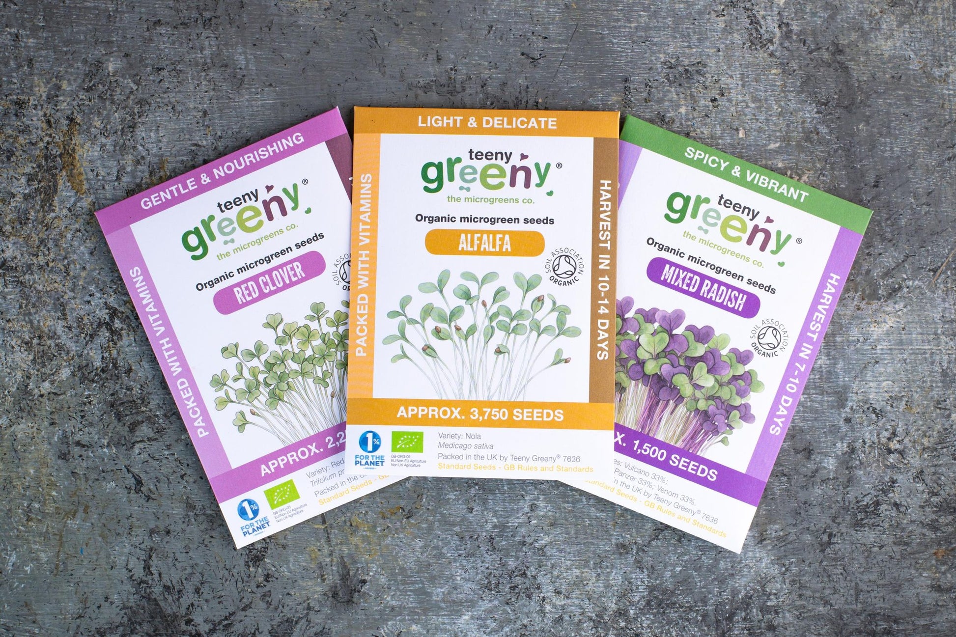 Teeny Greeny organic Harmony Set microgreen seed packets fanned out showing Red Clover Alfalfa and Mixed Radish on slate background