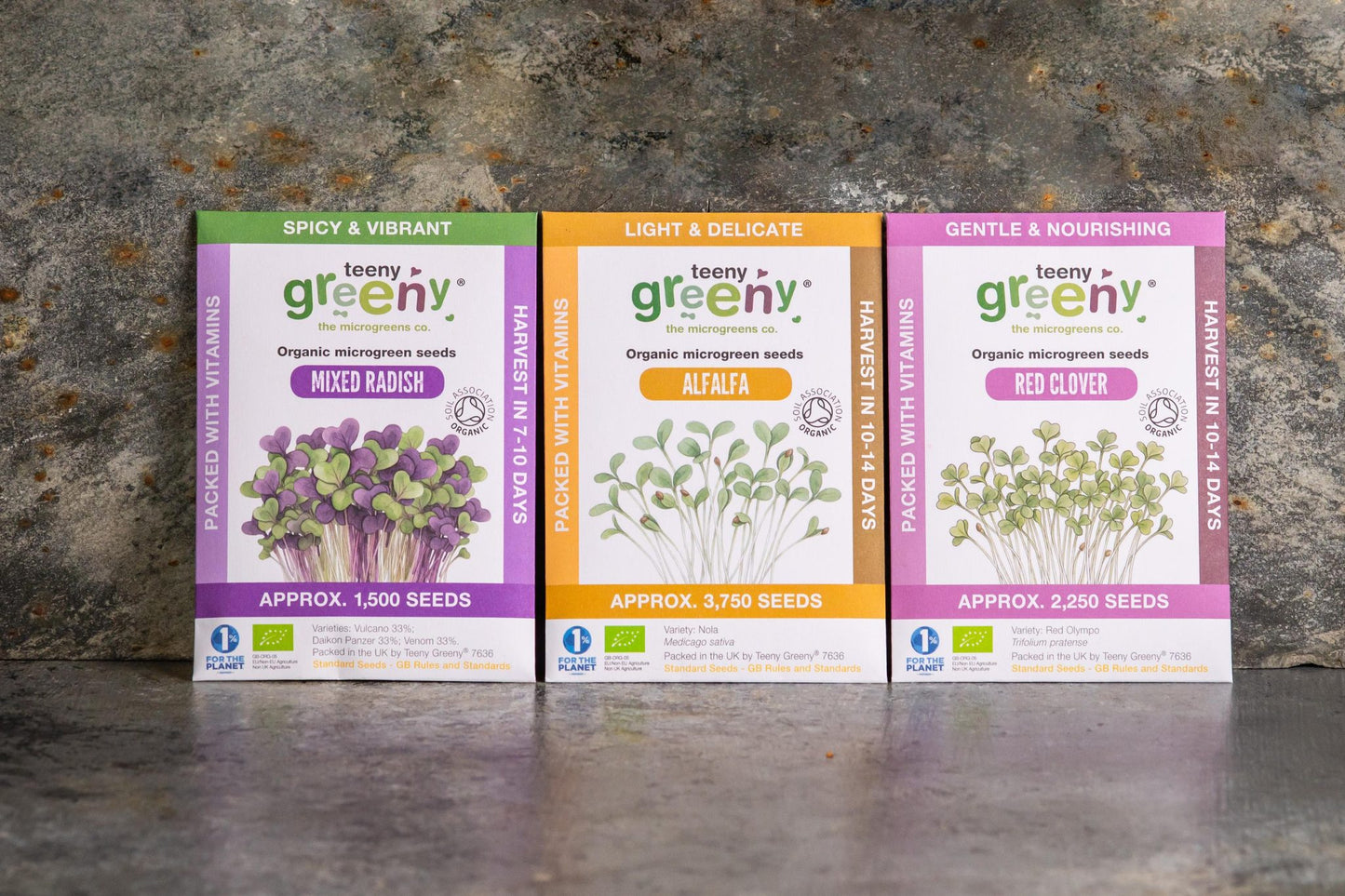 Teeny Greeny organic Harmony Set microgreen seed packets standing upright showing Mixed Radish Alfalfa and Red Clover on slate background