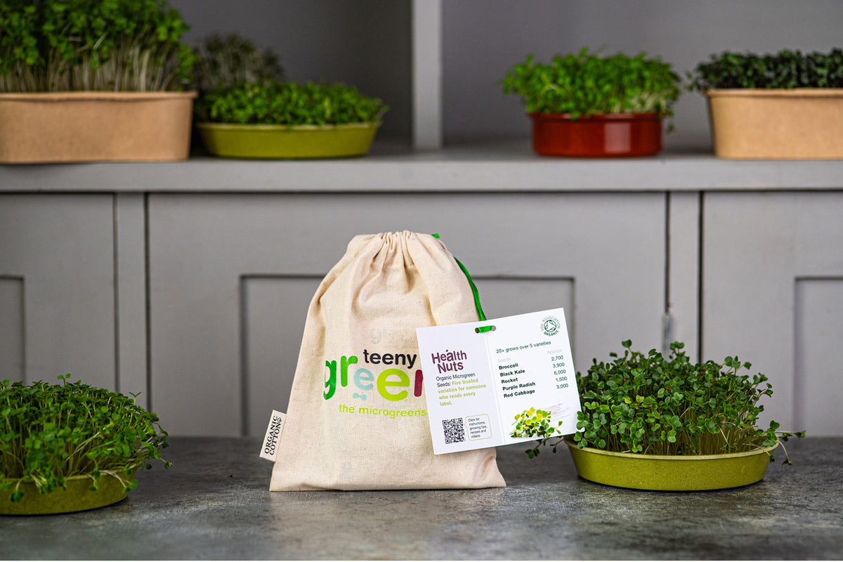 Health Nut's Organic Microgreens | 5 Seed Set | Gift Edition