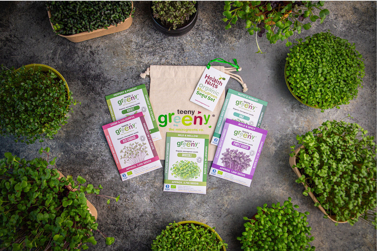 Health Nut's Organic Microgreens | 5 Seed Set | Gift Edition