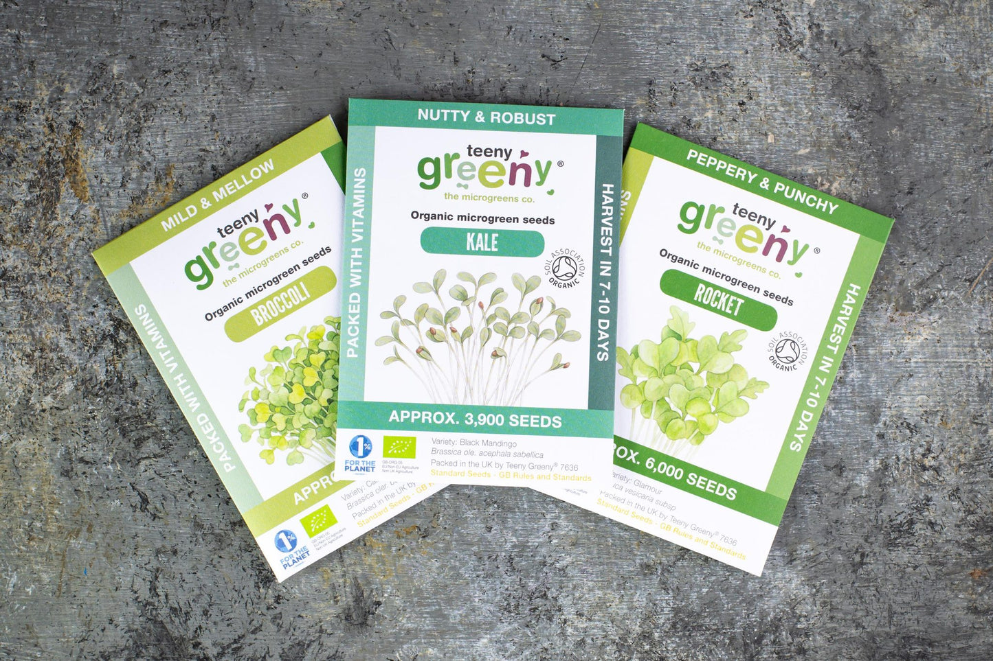 Teeny Greeny organic Immunity Set microgreen seed packets fanned out showing Broccoli Kale and Rocket on slate background