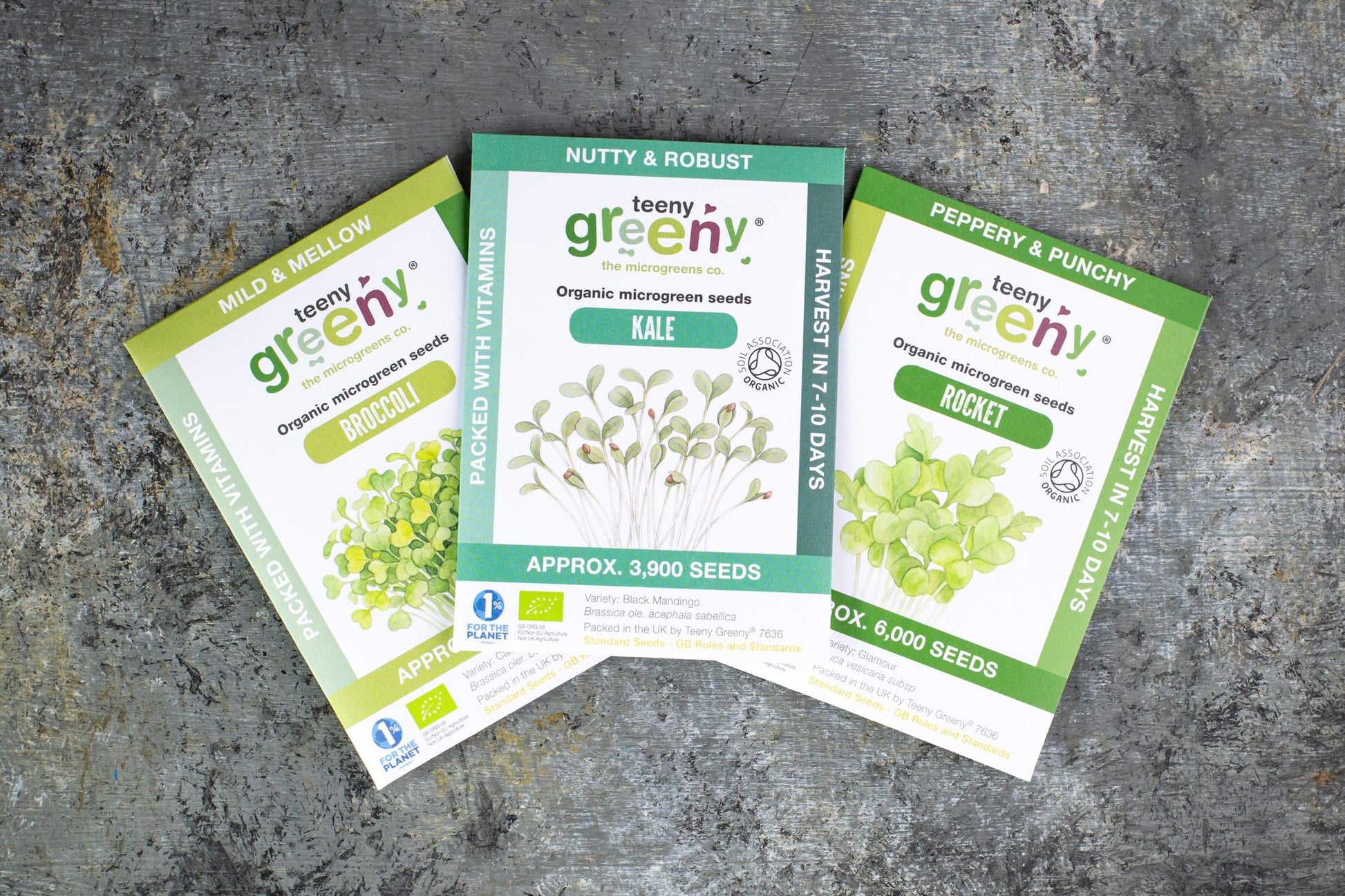 Teeny Greeny organic Immunity Set microgreen seed packets fanned out showing Broccoli Kale and Rocket on slate background