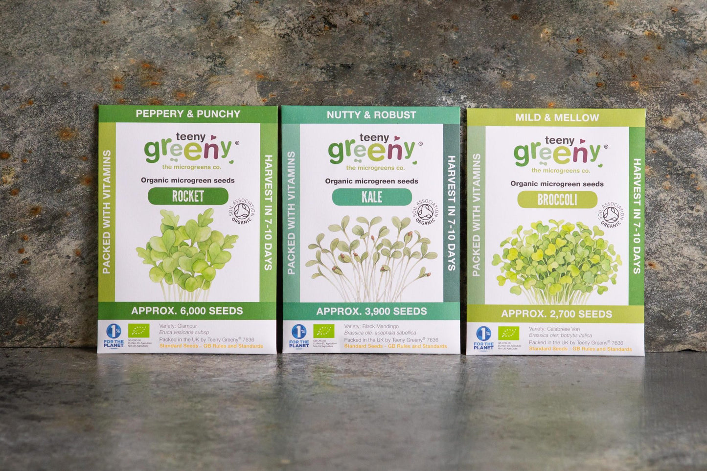 Teeny Greeny organic Immunity Set microgreen seed packets standing upright showing Rocket Kale and Broccoli on slate background