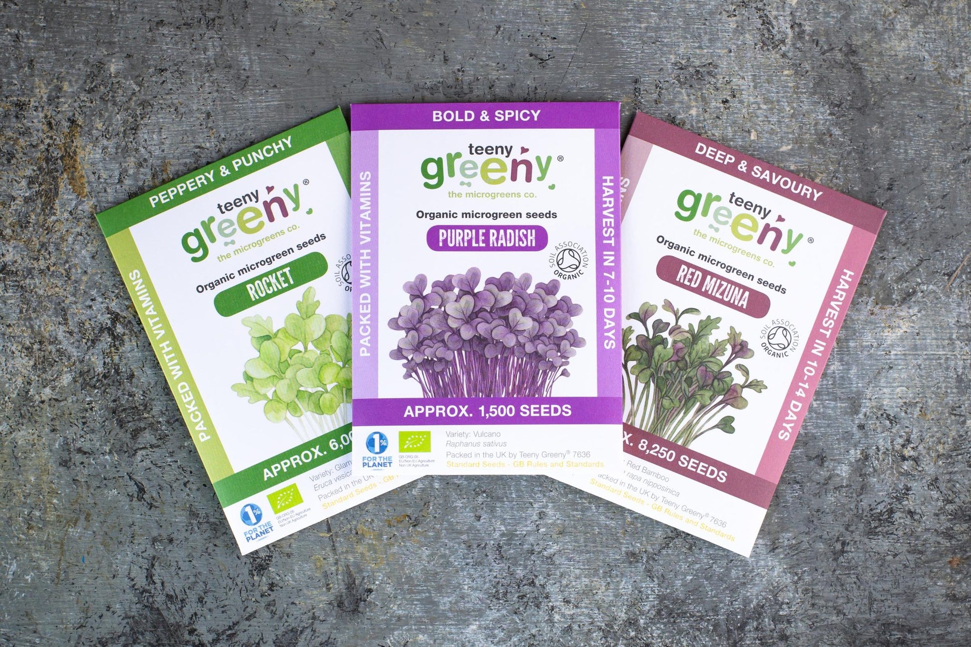 Teeny Greeny organic Intensity Set microgreen seed packets fanned out showing Rocket Purple Radish and Red Mizuna on slate background