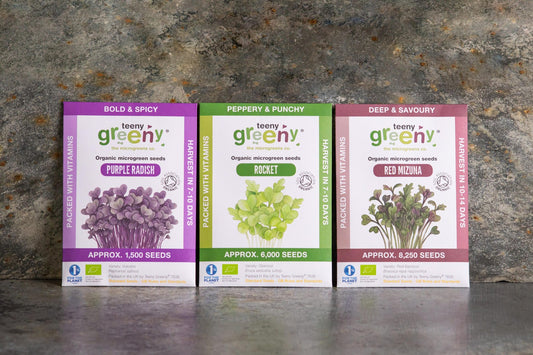 Teeny Greeny organic Intensity Set microgreen seed packets standing upright showing Purple Radish Rocket and Red Mizuna on slate background