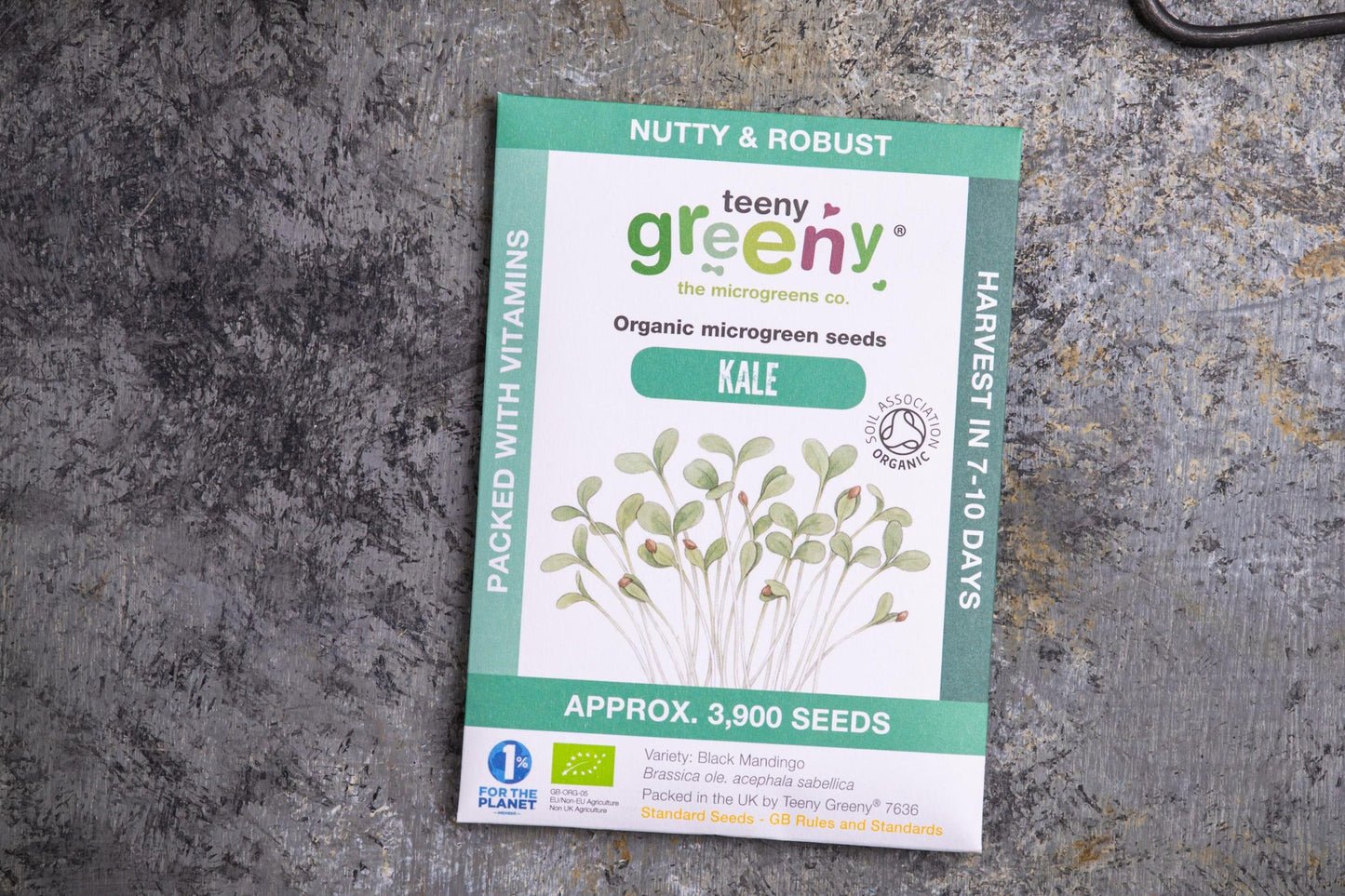 Teeny Greeny organic kale microgreen seed packet flat lay on stone surface
