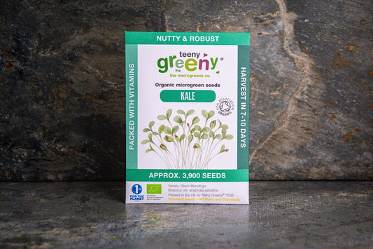 Teeny Greeny organic Kale microgreen seed packet standing upright on dark slate background