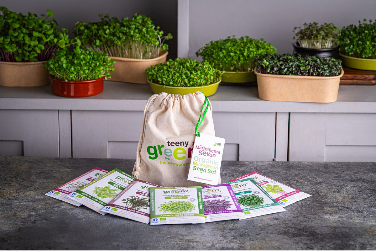 Magnificent Seven Organic Microgreens | 7 Seed Set | Gift Edition