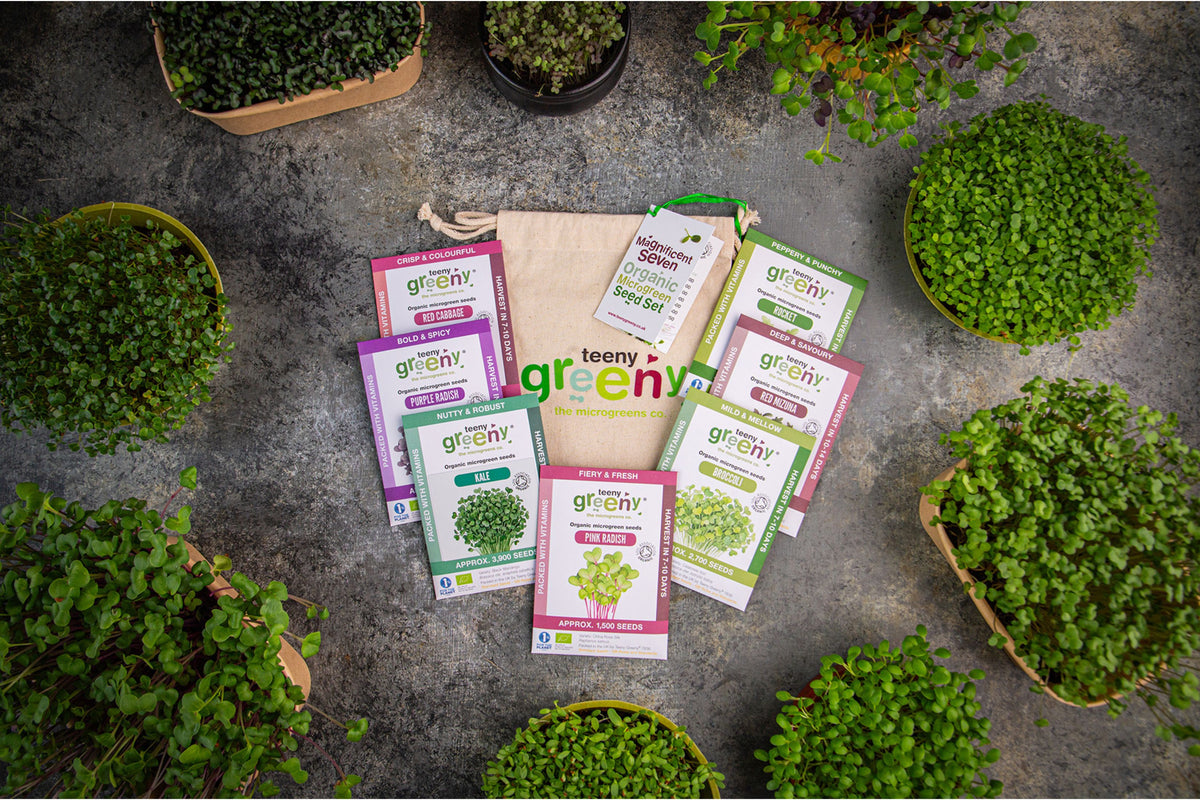 Magnificent Seven Organic Microgreens | 7 Seed Set | Gift Edition