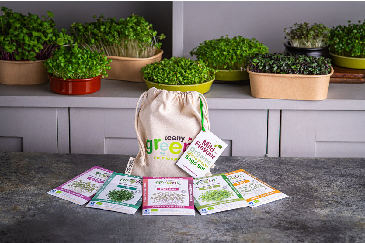 Mild Flavour Organic Microgreens | 5 Seed Set | Gift Edition