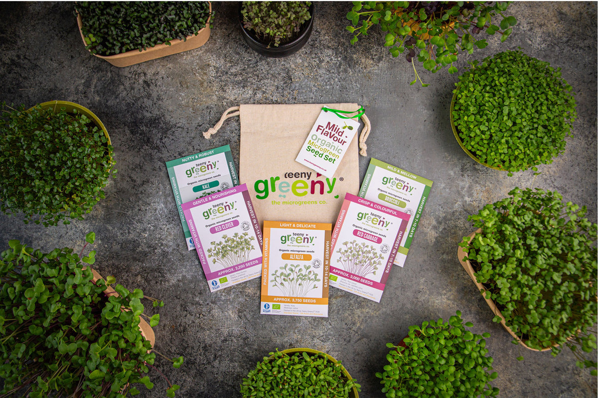 Mild Flavour Organic Microgreens | 5 Seed Set | Gift Edition