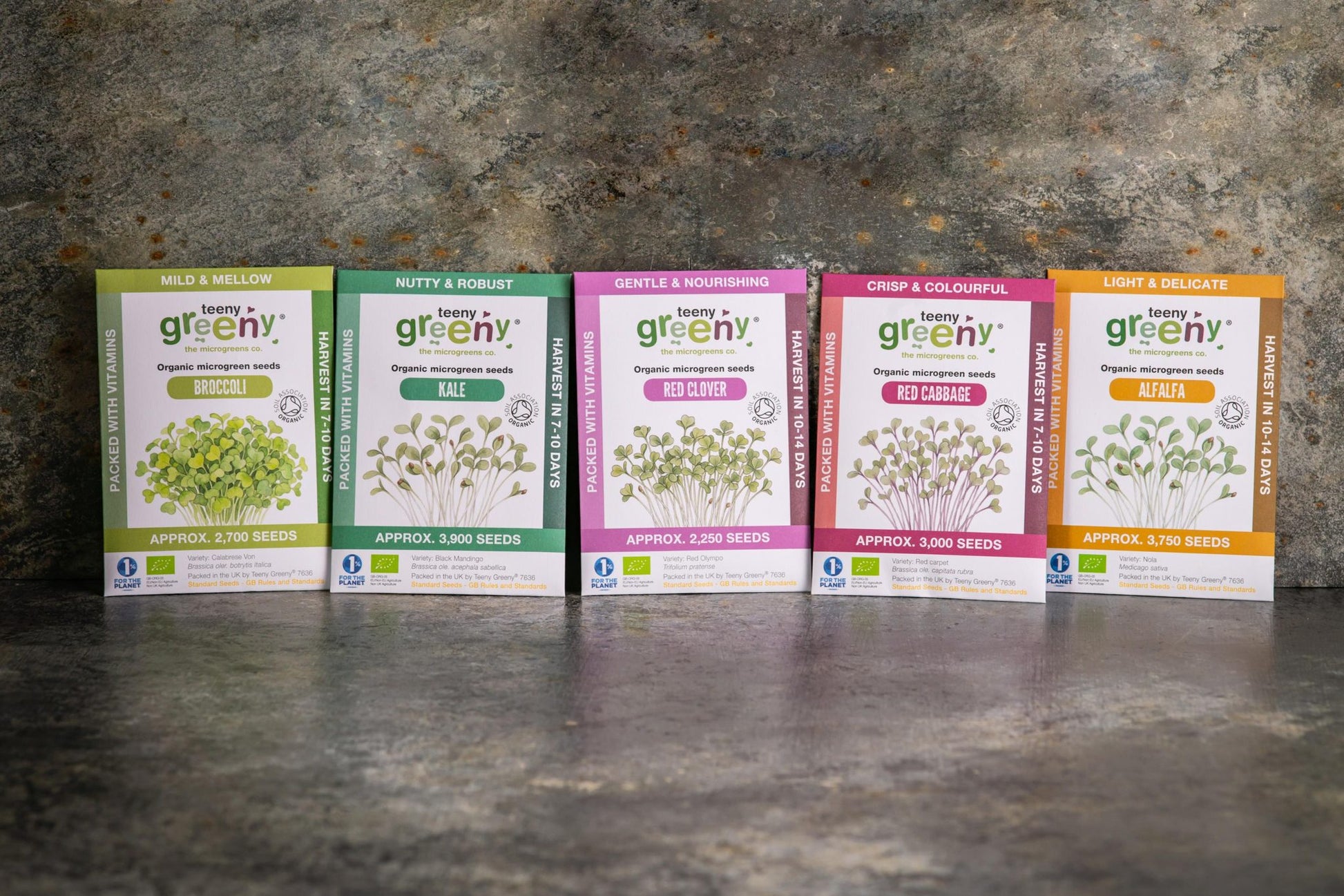 Teeny Greeny mild flavour set of five organic microgreen seed packets standing upright on slate background

