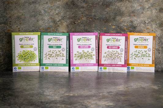 Teeny Greeny mild flavour set of five organic microgreen seed packets standing upright on slate background

