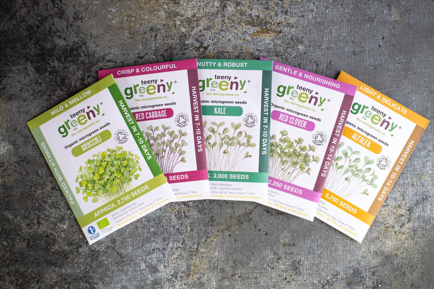 Teeny Greeny mild flavour set of five organic microgreen seed packets fanned out on stone surface
