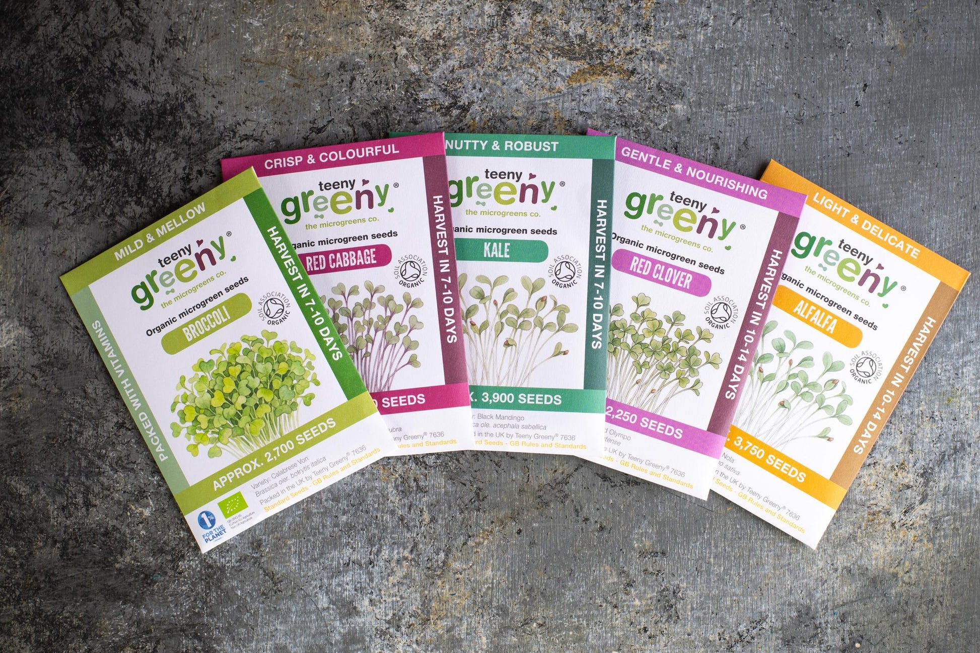 Teeny Greeny mild flavour set of five organic microgreen seed packets fanned out on stone surface
