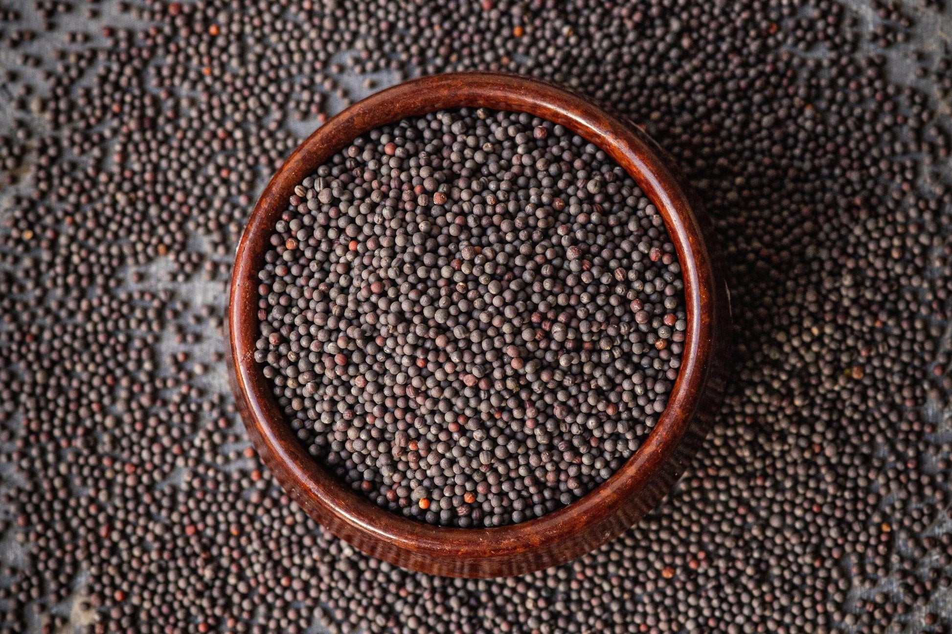 Teeny Greeny organic pak choi microgreen seeds close up in wooden bowl
