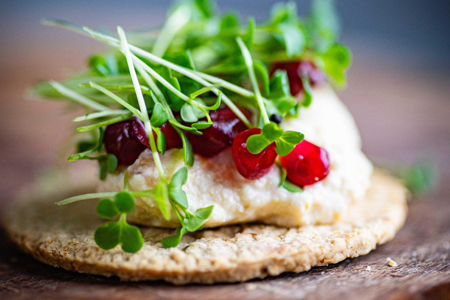Teeny Greeny pak choi microgreens on oat cracker with cream cheese and cranberries
