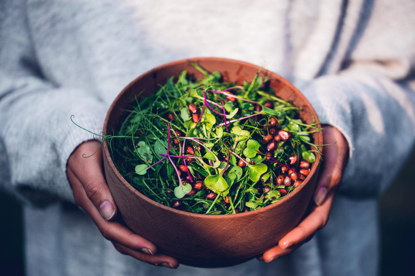 Teeny Greeny pea microgreens in mixed microgreen salad held in wooden bowl