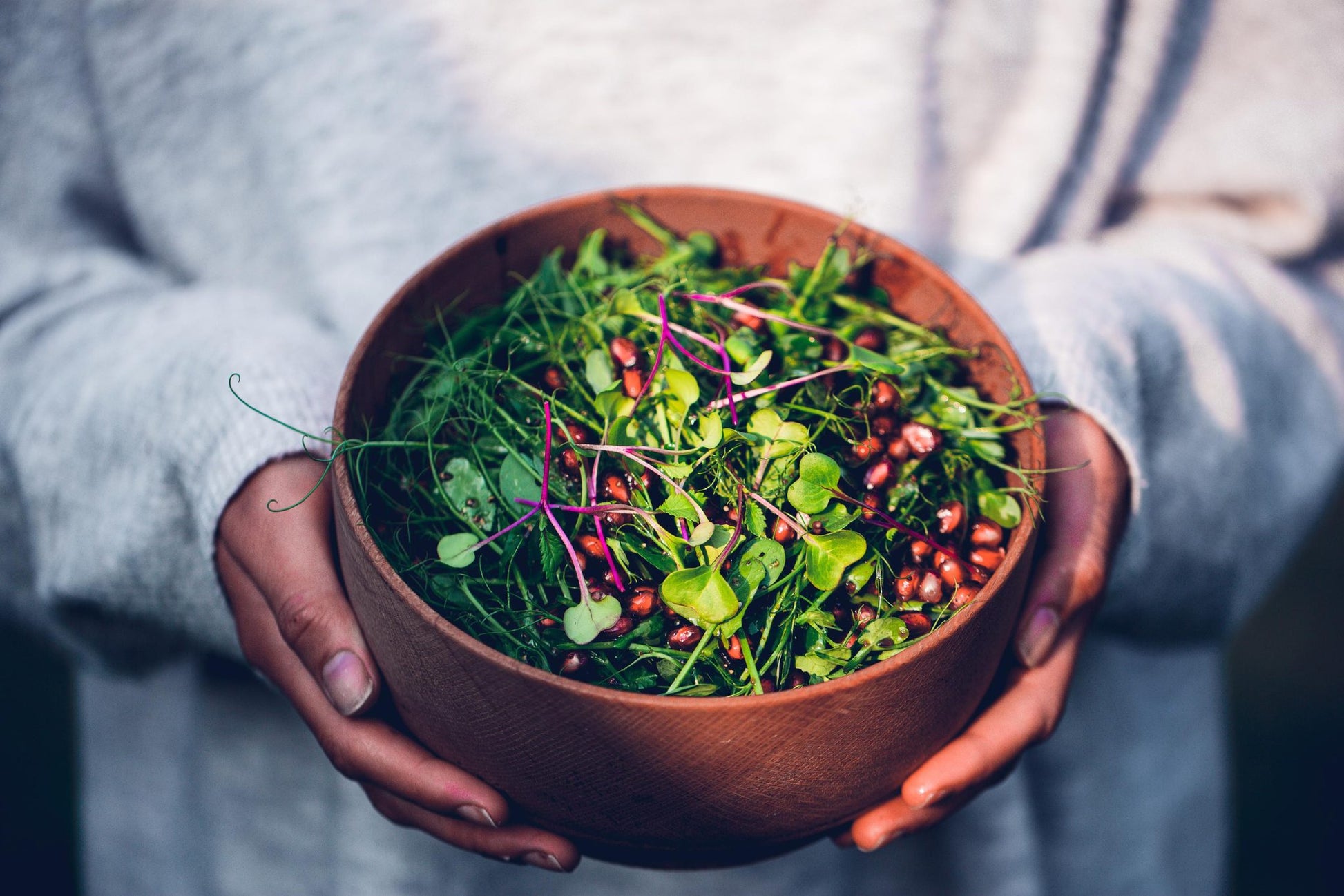 Teeny Greeny pea microgreens in mixed microgreen salad held in wooden bowl