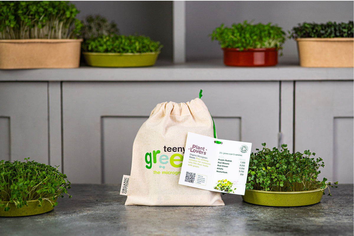 Plant Lovers Organic Microgreens | 5 Seed Set | Gift Edition