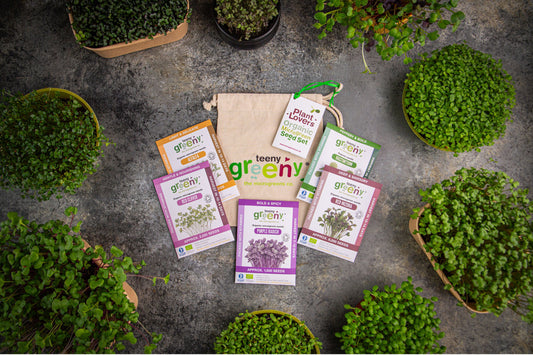 Plant Lover's Gift Set | Organic Microgreens | 5 Varieties