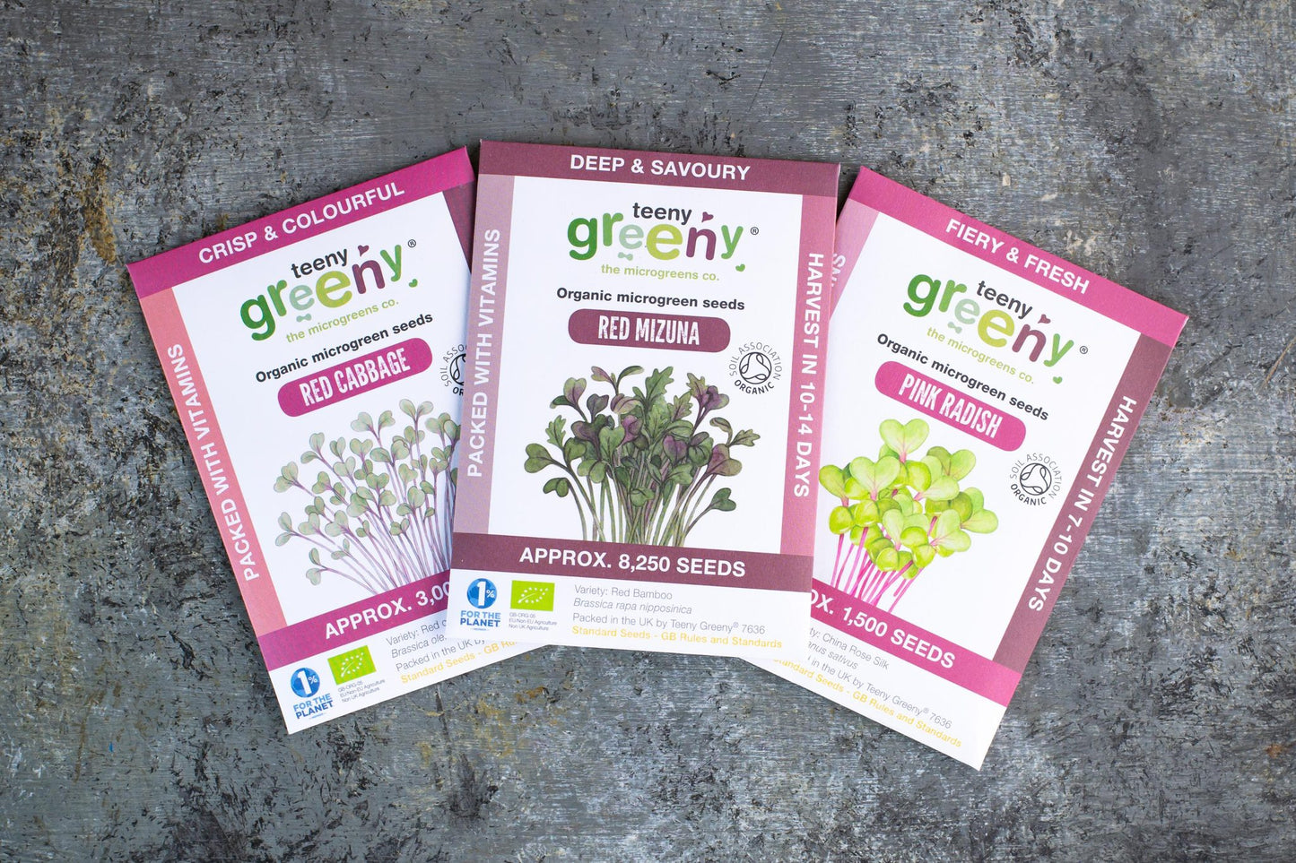 Teeny Greeny organic Power Set microgreen seed packets fanned out showing Red Cabbage Red Mizuna and Pink Radish on slate background