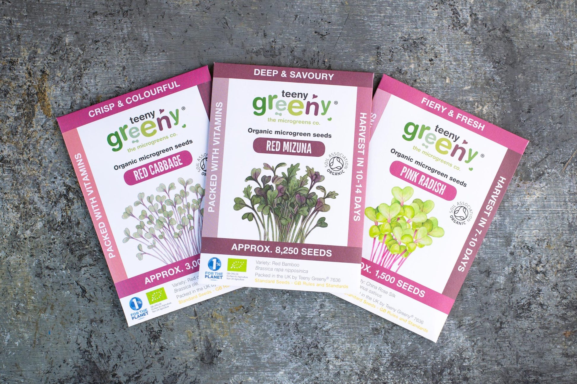 Teeny Greeny organic Power Set microgreen seed packets fanned out showing Red Cabbage Red Mizuna and Pink Radish on slate background