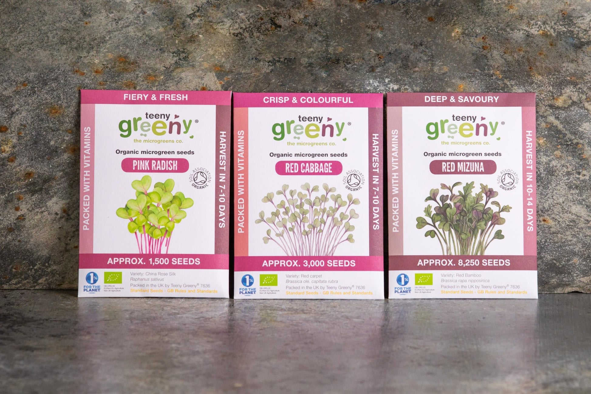 Teeny Greeny organic Power Set microgreen seed packets standing upright showing Pink Radish Red Cabbage and Red Mizuna on slate background