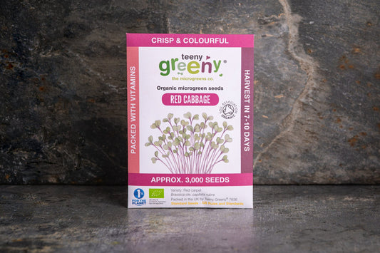 Teeny Greeny organic Red Cabbage microgreen seed packet standing upright on dark slate background