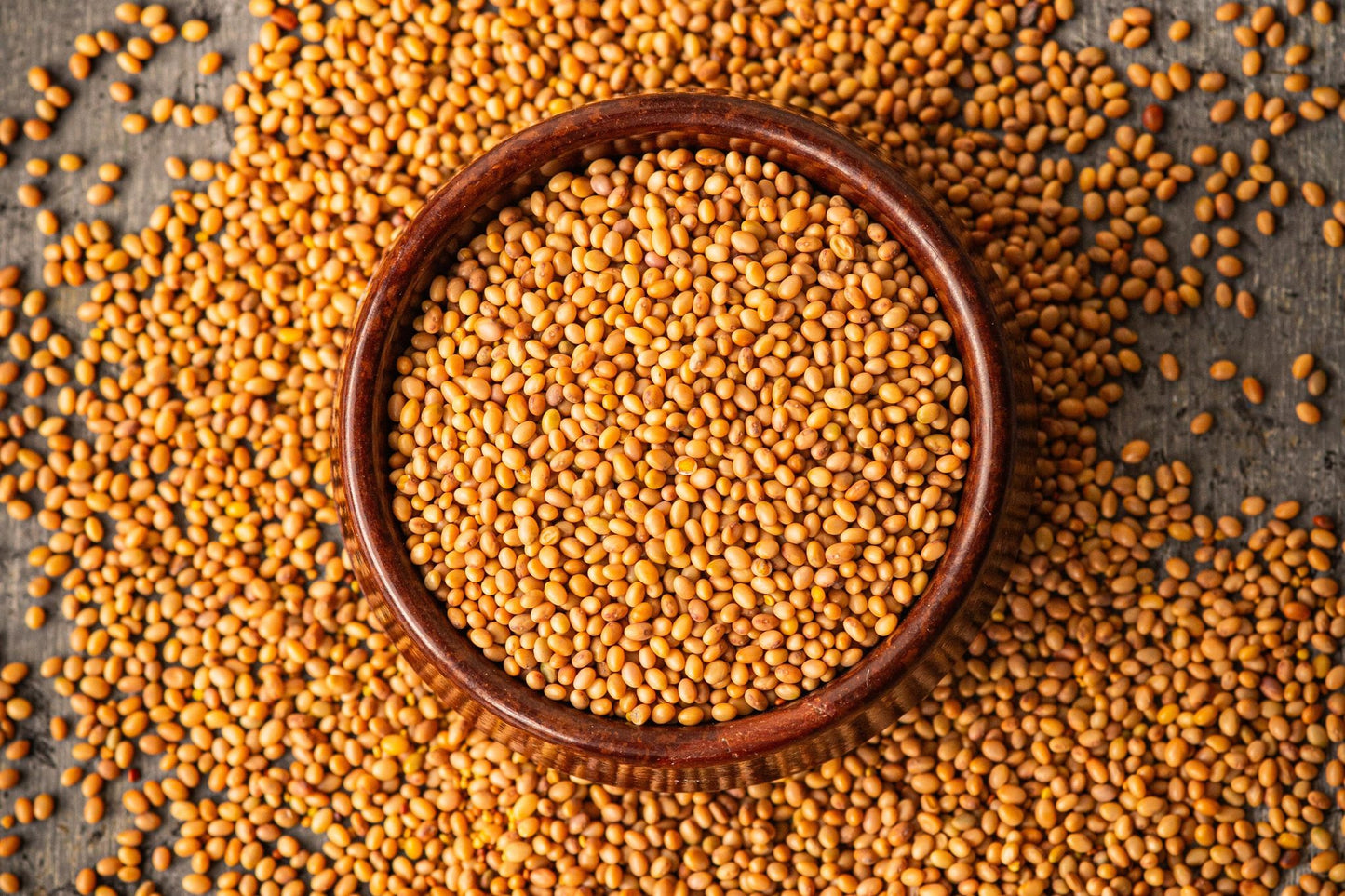 Teeny Greeny organic red clover microgreen seeds close up in wooden bowl
