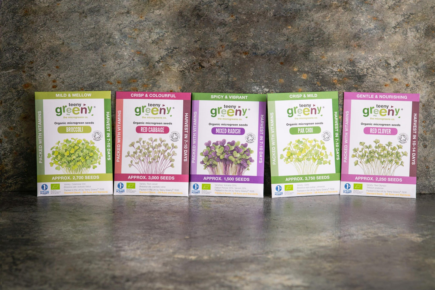 Teeny Greeny summer set of five organic microgreen seed packets standing upright on slate background

