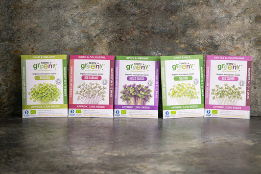 Teeny Greeny summer set of five organic microgreen seed packets standing upright on slate background

