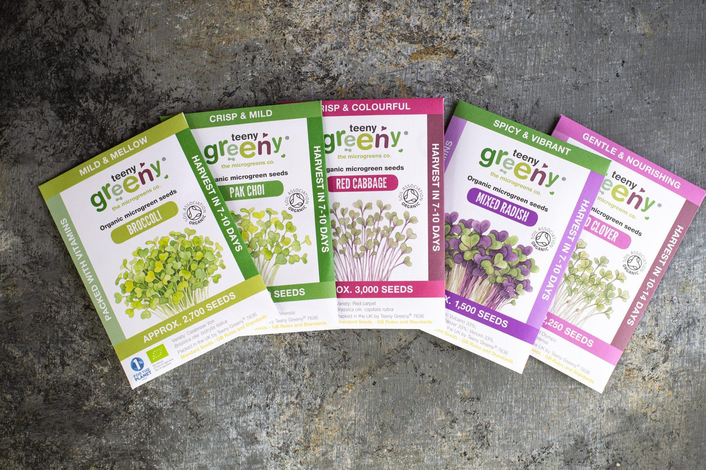 Teeny Greeny summer set of five organic microgreen seed packets flat lay on stone surface

