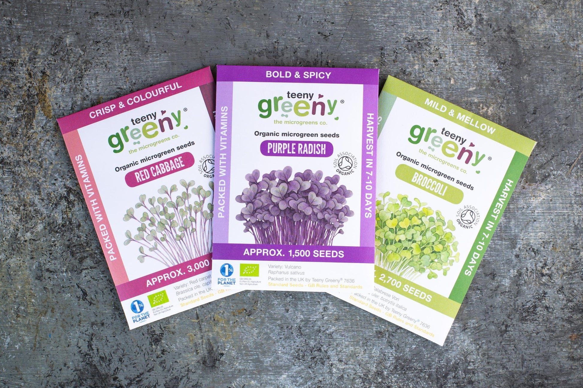 Teeny Greeny organic Vitality Set microgreen seed packets fanned out showing Red Cabbage Purple Radish and Broccoli on slate background